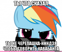 ты что сказал ты не черепашка-ниндзя чтобы говорить кавабанга