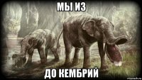 мы из до кембрий