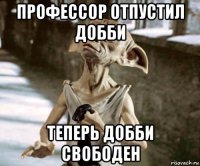 профессор отпустил добби теперь добби свободен