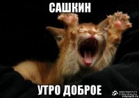 сашкин утро доброе