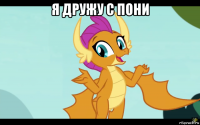 я дружу с пони 