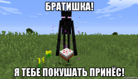 братишка! я тебе покушать принёс!
