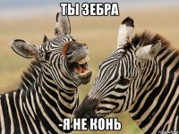 ты зебра -я не конь