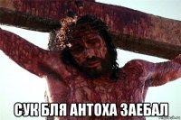  сук бля антоха заебал