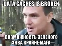 data caches is broken возможность зеленого энва крайне мага