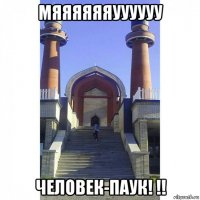 мяяяяяяуууууу человек-паук! !!