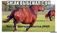shlak выбежал с ок 