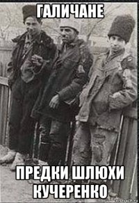 галичане предки шлюхи кучеренко
