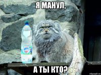 я манул, а ты кто?