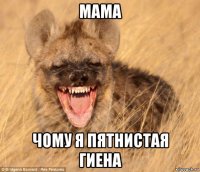 мама чому я пятнистая гиена