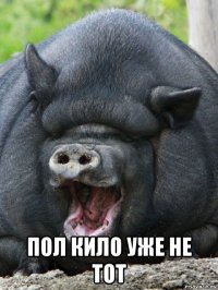  пол кило уже не тот