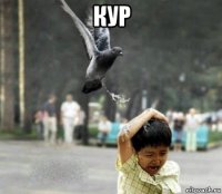 кур 