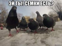 эй ты! семки есть? 