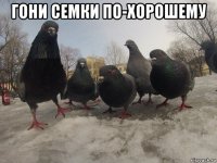 гони семки по-хорошему 