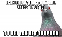 если бы видели эти наглые хитрые морды то вы так не говорили