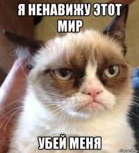 я ненавижу этот мир убей меня
