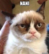 nani 