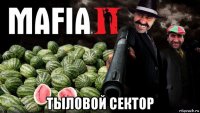  тыловой сектор
