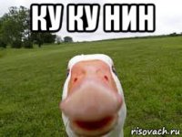 ку ку нин 