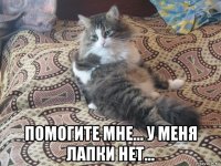  помогите мне... у меня лапки нет...