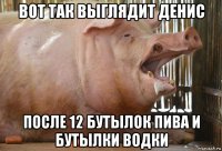 вот так выглядит денис после 12 бутылок пива и бутылки водки