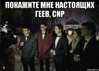 покажите мне настоящих геев, сир 