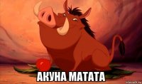  акуна матата
