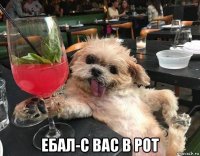  ебал-с вас в рот