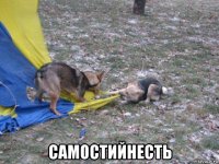 самостийнесть