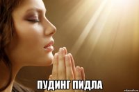  пудинг пидла