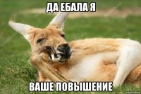 да ебала я ваше повышение