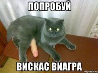попробуй вискас виагра