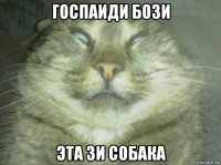 госпаиди бози эта зи собака
