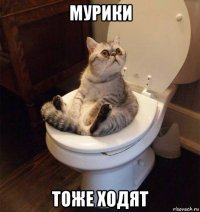 мурики тоже ходят