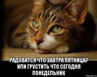  радоватся что завтра пятница? или грустить что сегодня понедельник