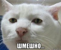  шмешно...