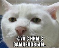  @уй с ним,с замлеловым..