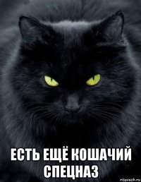  есть ещё кошачий спецназ
