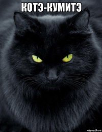 котэ-кумитэ 