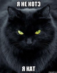 я не котэ я кат
