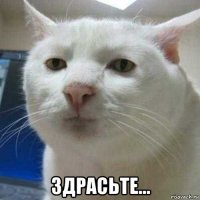  здрасьте...