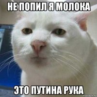 не попил я молока это путина рука