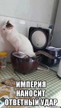  империя наносит ответный удар
