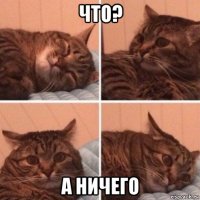 что? а ничего