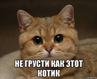  не грусти как этот котик