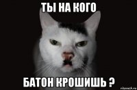 ты на кого батон крошишь ?