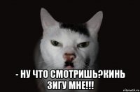  - ну что смотришь?кинь зигу мне!!!