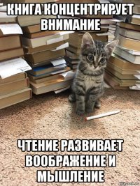 книга концентрирует внимание чтение развивает воображение и мышление