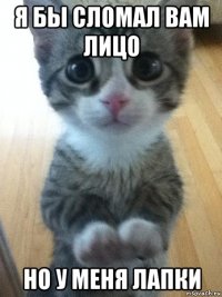 я бы сломал вам лицо но у меня лапки