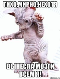 тихо,мирно,нехотя вынесла мозги всем я!